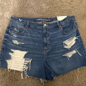 American Eagle Outfitters Blue Distressed Jean Shorts